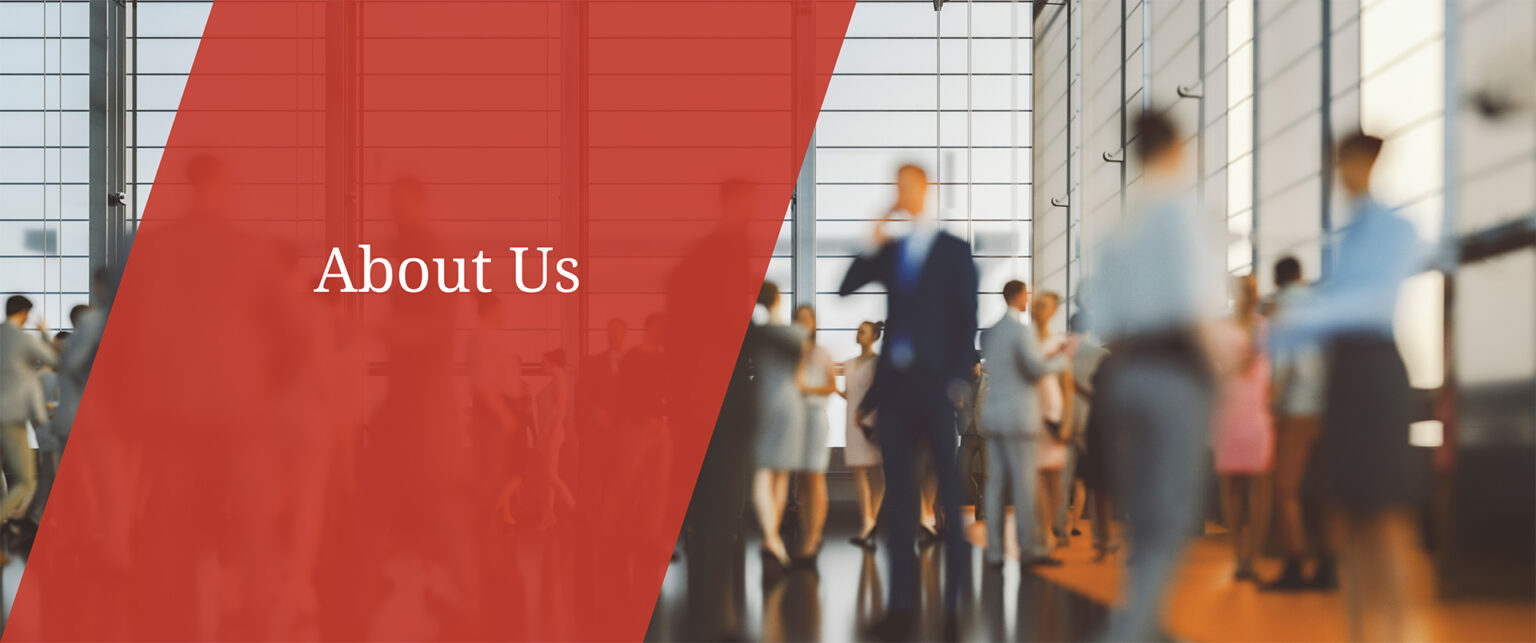 About Us – Web Space IT